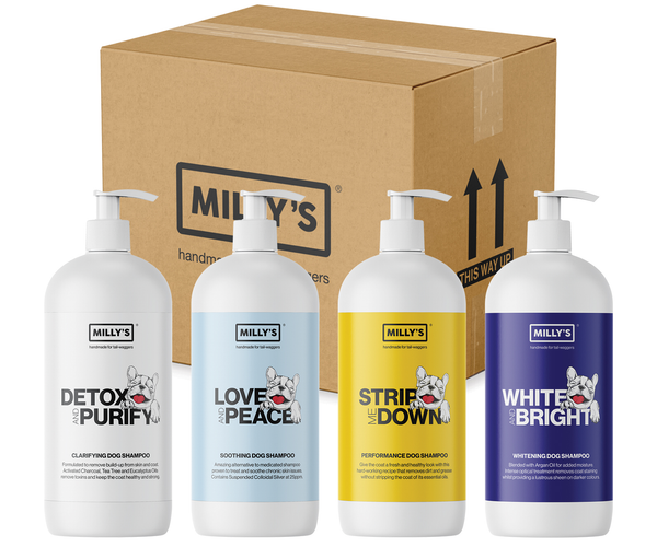 Millie's clearance dog shampoo