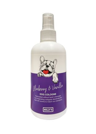 Blueberry and Vanilla Cologne
