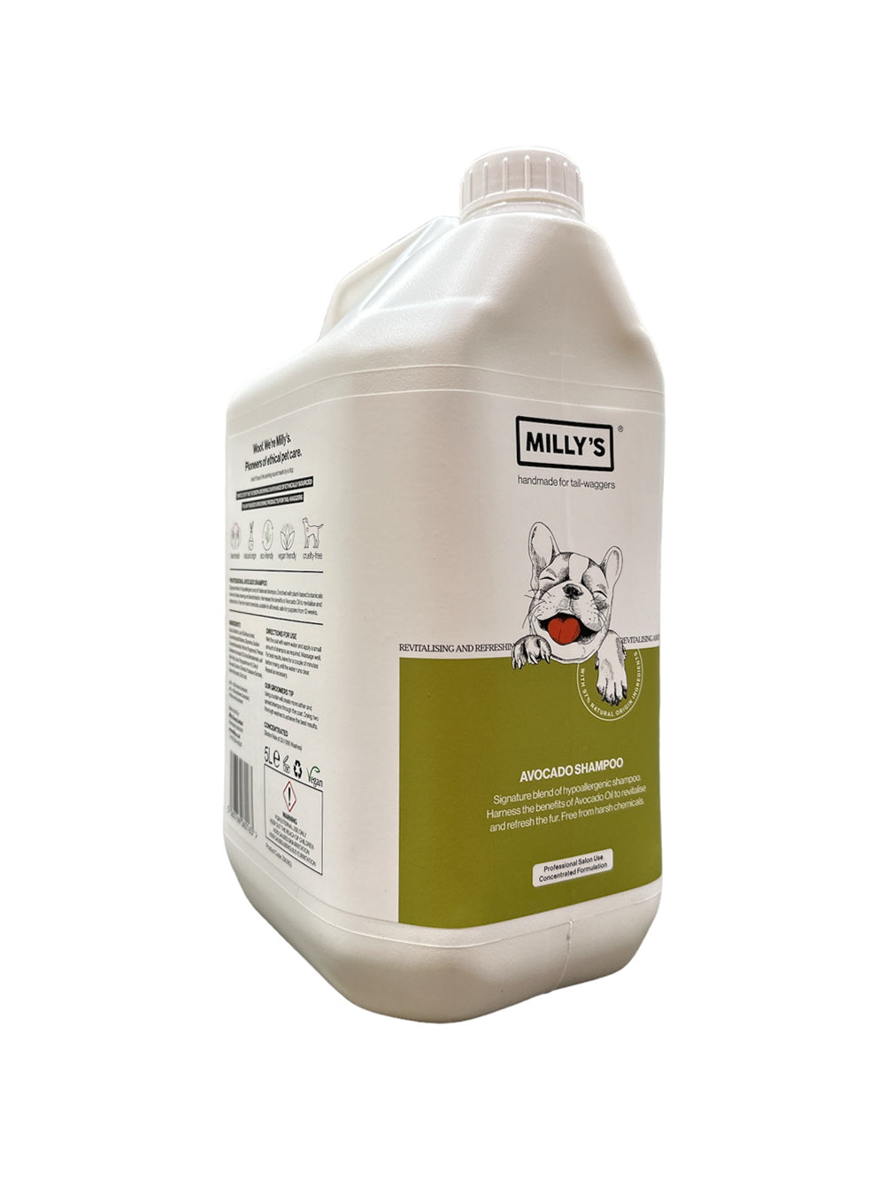 Avocado and Aloe Shampoo