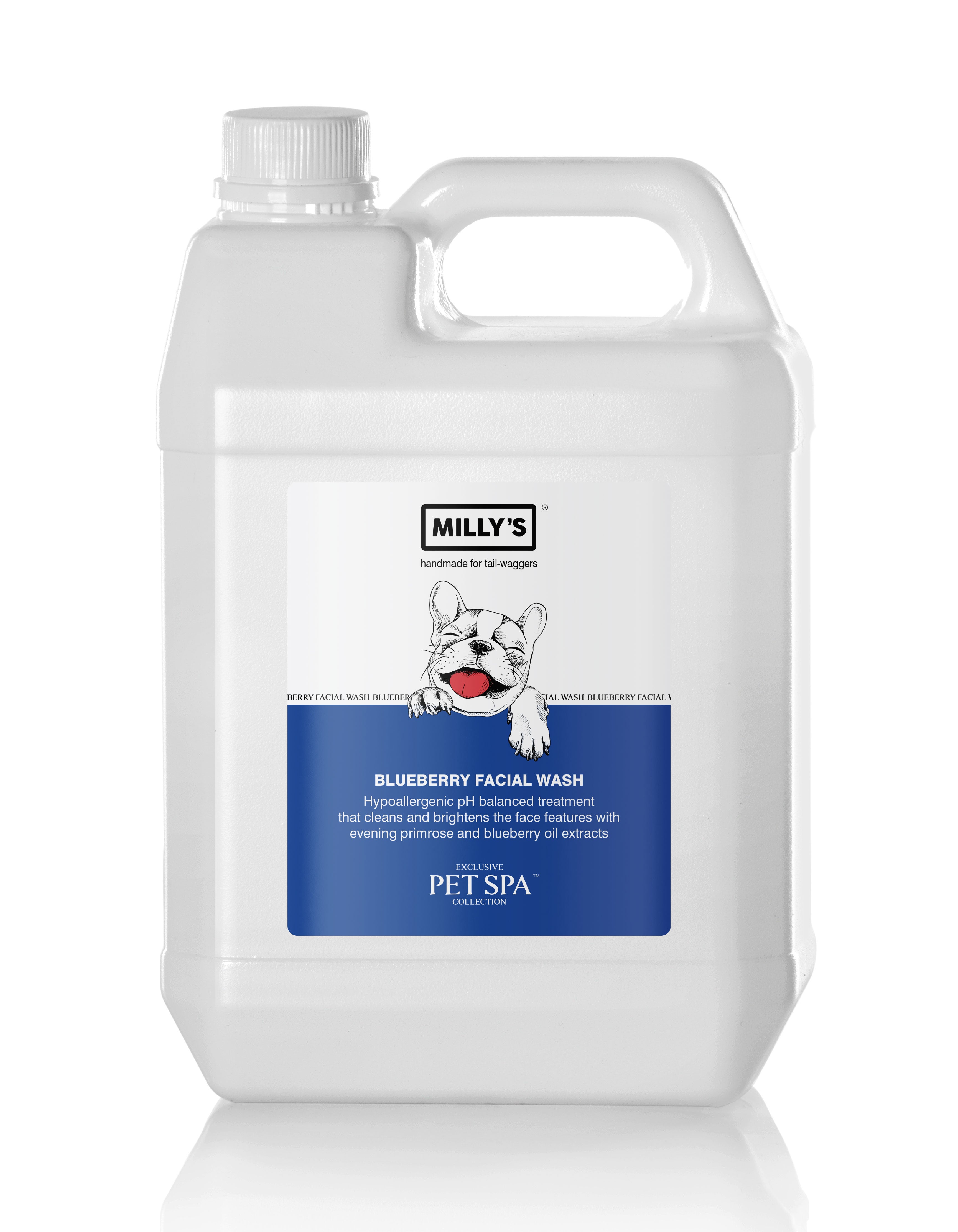 Blueberry Facial Wash