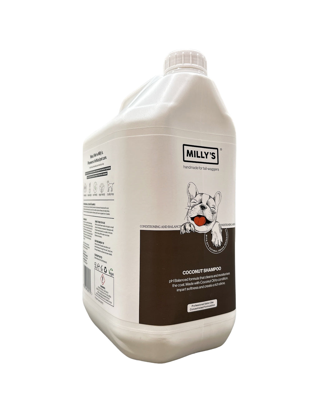 Coconut and Shea Shampoo