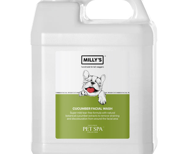 Cucumber Facial Wash