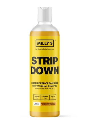Strip Down Performance Shampoo