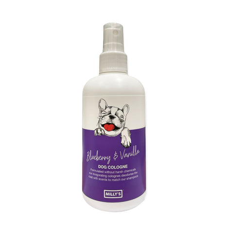 Blueberry and Vanilla Cologne