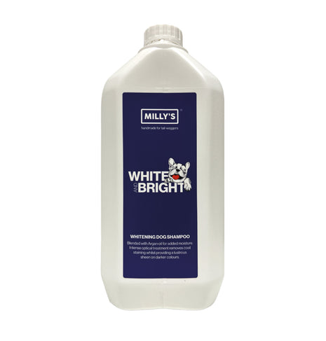 White and Bright Whitening Shampoo