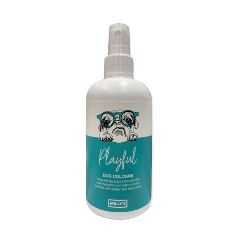 Playful Cologne
